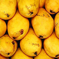 Pakistani Mangoes